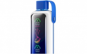 Одноразовый POD Vozol Star Pro 26000 - Мохито Черничный